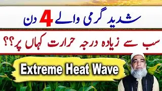 Extreme Heat Wave in Punjab Pakistan during next few days || Crop Reformer