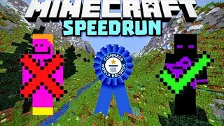 I Defeated Camman18 And Got A Minecraft World Record