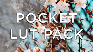 LUT PACK for POCKET 4K/6K