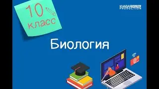 Биология. 10 класс. Строение и функции гемоглобина и миоглобина человека /20.11.2020/