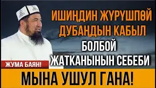 ИШТЕР ЖҮРҮШПӨЙ, ДУБА КАБЫЛ БОЛБОЙ ЖАТСА АНДА УК! // Нурулло устаз