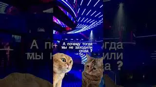 Типичные доставки почтой России #мемы #приколы #кот 😁✉️