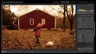 Lightroom 5 - Cómo hacer el efecto Dorado a las fotos? + Free Preset