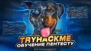 Пентест на практике с нуля | CTF | TryHackMe - DogCat | LFI, RCE, Отравление логов на apache