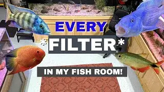 From *SPONGES to SUMPS* EVERY Filter on EVERY Tank!