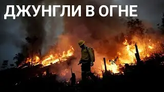 Крупнейшие пожары охватили Амазонку