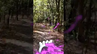 Cartoon Cat in real life is chasing me in the forest 4 #cartooncat #cartooncatinreallife