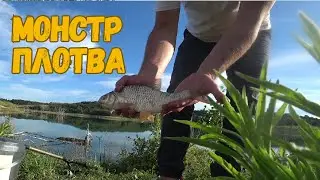 ШОК! 🐠Я ТАКОЙ ПЛОТВЫ НЕ ВИДЕЛ !!! Река-Озеро ГАНГИЗ LAC DE LA GANGUISE