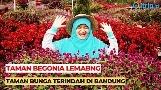 Taman Begonia, Tempat Selfie Plus Wisata Edukasi Di Lembang Bandung