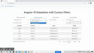 Angular 10 Datatable with Custom Filters