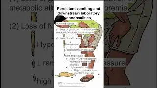 Persistent vomiting and downstream laboratory abnormalities