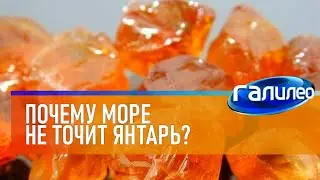 Галилео 🔶 Почему море не точит янтарь?