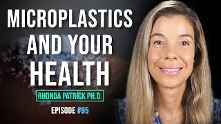 What Microplastics Are Doing to the Brain, Body, and Reproductive Systems