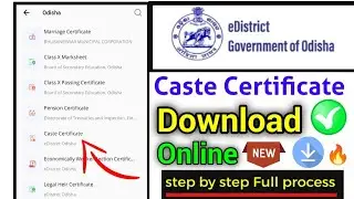 odisha Caste Certificate download online 2022 | e district odisha caste certificate