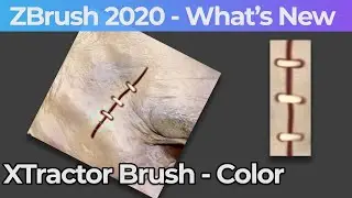 021 Zbrush 2020 XTractor Brush With Color