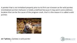 wild pointer in C (HINDI\URDU)