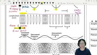 7.1a Transverse and Longitudinal Waves | AS Waves | Cambridge A Level 9702 Physics