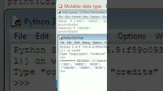 Why List is mutable Datatypes in Python