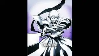 The King 👑 & The Horse 🐎 [Ichigo & Zangetsu Bleach Manga Edit]