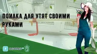 Поилка для утят своими руками