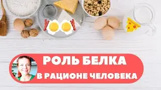 🔺РОЛЬ БЕЛКА В РАЦИОНЕ ЧЕЛОВЕКА 🍲КАК СОХРАНИТЬ ЗДОРОВЬЕ👨‍👩‍👧‍👦