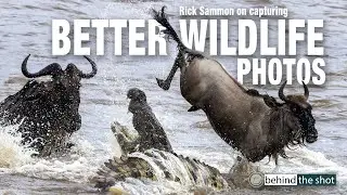 Capture Better Wildlife Photos with Rick Sammon