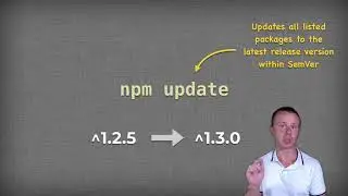 24 Update NPM packages overview