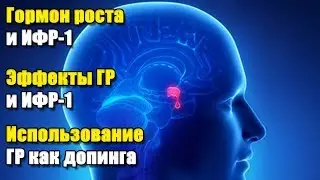 ГОРМОН РОСТА И ИФР-1 | ОПИСАНИЕ, ЭФФЕКТЫ, ДОЗЫ И ПРОТОКОЛЫ ПРИМЕНЕНИЯ