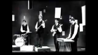 Назарій Яремчук ВИЖНИЦЯ  .flv