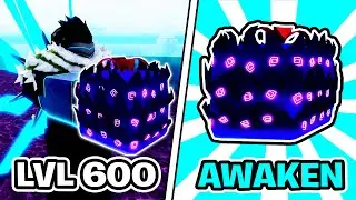 Dark Fruit Awakened Is SCARY & OP... (Roblox Blox fruits)