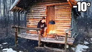WINTER Sleeping (-10°) in Bushcraft Shelter: Cooking Unforgettable meal