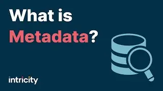 What is Metadata?