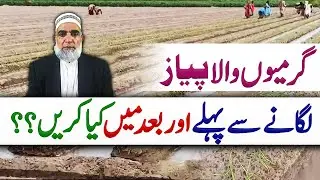 Before and After precautions for Onion cultivation || Crop Reformer