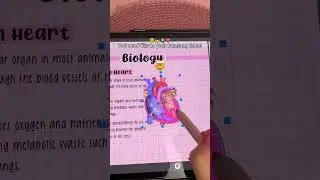 you NEED this on your Samsung tablet 🤯 note taking & digital planner app | Samsung galaxy tab