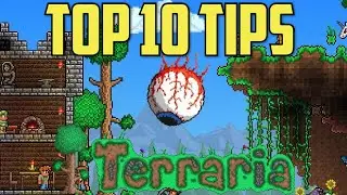 10 Tips For Beginners and New Players in Terraria!