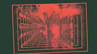 BOYO - Feel (Official Audio)