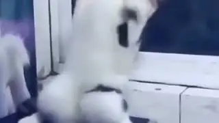 Милая кошечка зажигает!