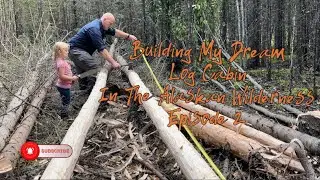 Building my Dream Log Cabin in the Alaskan Wilderness - Episode 2