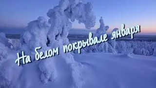 На белом покрывале января 2024