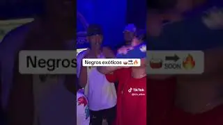 L Km - NEGRO EXÓTICO