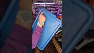 Микрозелень лук за 1 минуту бизнес идея