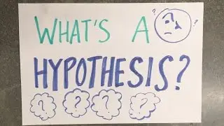 Hypothesis Song (