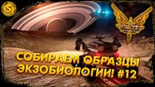 Elite Dangerous: Odyssey ➤ Собираем образцы экзобиологии! #12