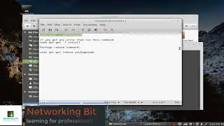 Install and Remove deb package in linux