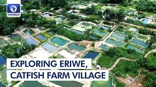 A Trip Into Eriwe, A Massive Catfish Farm Village | Community Report
