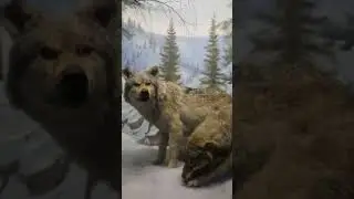💥Музей Леса им. Абдулова М.Х. город 💥