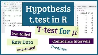 T-Tests in R Studio: One Sample Mean with raw data | One-Tailed & Two-Tailed