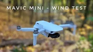 DJI Mavic Mini Wind Test | Can It Handle Windy Days