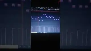 Importance Of Randomizer 