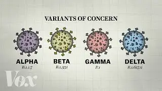 Why so many Covid-19 variants are showing up now